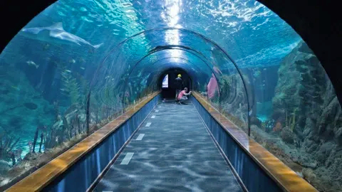 Aquarium del Puerto de Veracruz