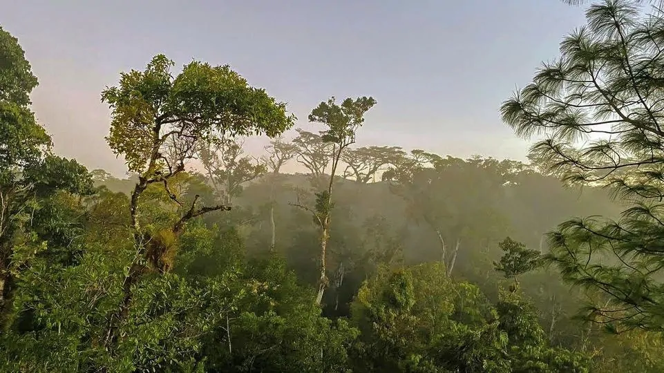 Selva Lacandona 25 lugares que ver y hacer en CHIAPAS